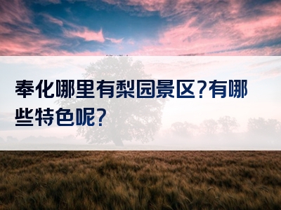 奉化哪里有梨园景区？有哪些特色呢？