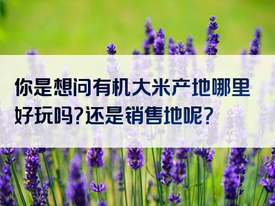 你是想问有机大米产地哪里好玩吗？还是销售地呢？