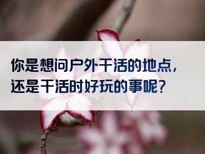 你是想问户外干活的地点，还是干活时好玩的事呢？