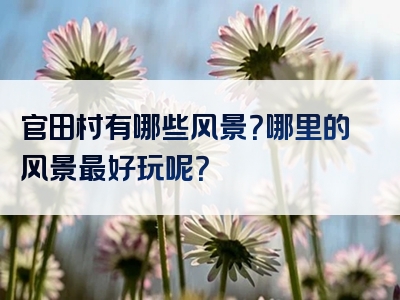 官田村有哪些风景？哪里的风景最好玩呢？