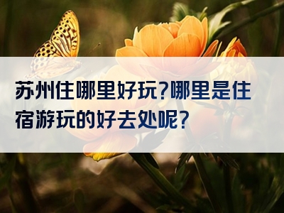 苏州住哪里好玩？哪里是住宿游玩的好去处呢？