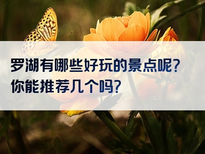 罗湖有哪些好玩的景点呢？你能推荐几个吗？