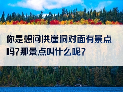 你是想问洪崖洞对面有景点吗？那景点叫什么呢？