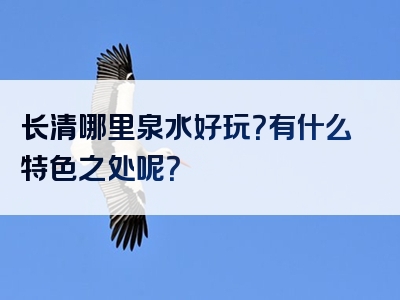 长清哪里泉水好玩？有什么特色之处呢？