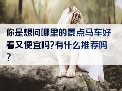 你是想问哪里的景点马车好看又便宜吗？有什么推荐吗？