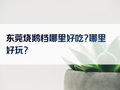 东莞烧鹅档哪里好吃？哪里好玩？