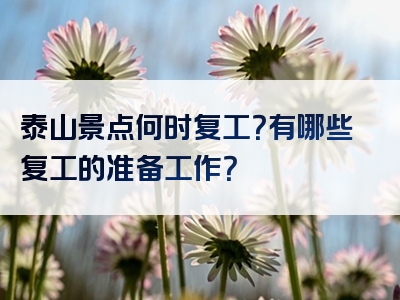 泰山景点何时复工？有哪些复工的准备工作？