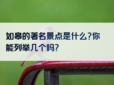如皋的著名景点是什么？你能列举几个吗？