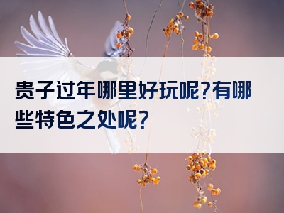 贵子过年哪里好玩呢？有哪些特色之处呢？