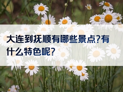 大连到抚顺有哪些景点？有什么特色呢？
