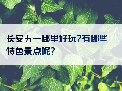 长安五一哪里好玩？有哪些特色景点呢？
