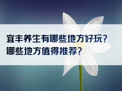 宜丰养生有哪些地方好玩？哪些地方值得推荐？