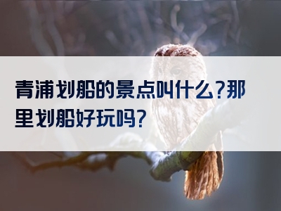 青浦划船的景点叫什么？那里划船好玩吗？
