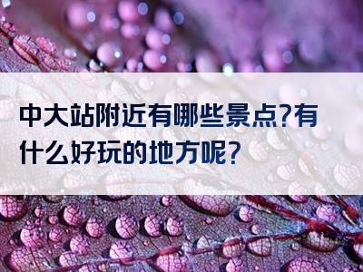 中大站附近有哪些景点？有什么好玩的地方呢？