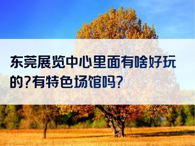 东莞展览中心里面有啥好玩的？有特色场馆吗？