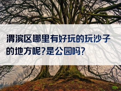 渭滨区哪里有好玩的玩沙子的地方呢？是公园吗？