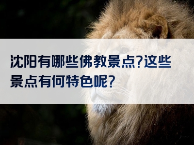 沈阳有哪些佛教景点？这些景点有何特色呢？