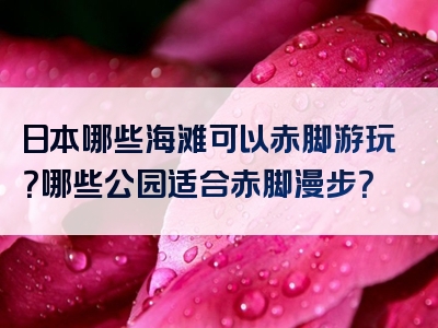 日本哪些海滩可以赤脚游玩？哪些公园适合赤脚漫步？