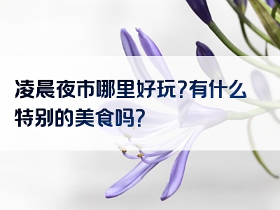 凌晨夜市哪里好玩？有什么特别的美食吗？