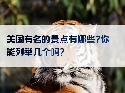 美国有名的景点有哪些？你能列举几个吗？