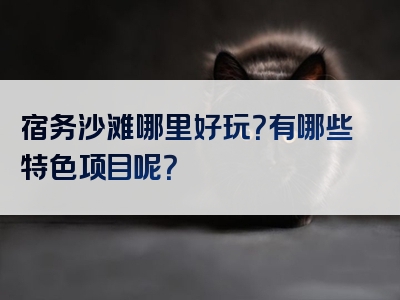 宿务沙滩哪里好玩？有哪些特色项目呢？