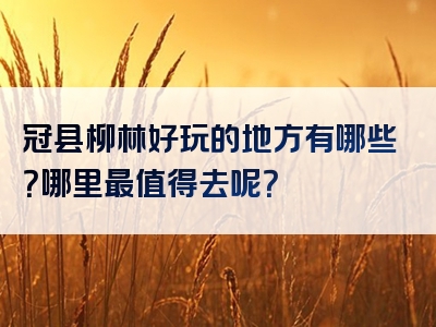 冠县柳林好玩的地方有哪些？哪里最值得去呢？
