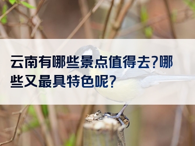 云南有哪些景点值得去？哪些又最具特色呢？