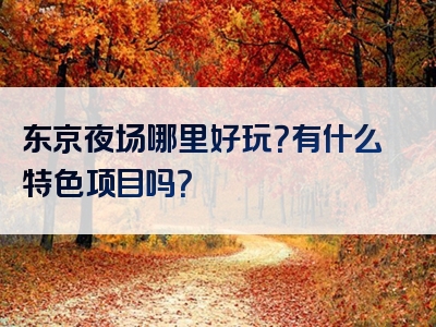 东京夜场哪里好玩？有什么特色项目吗？
