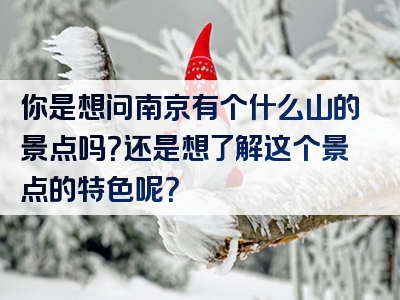 你是想问南京有个什么山的景点吗？还是想了解这个景点的特色呢？