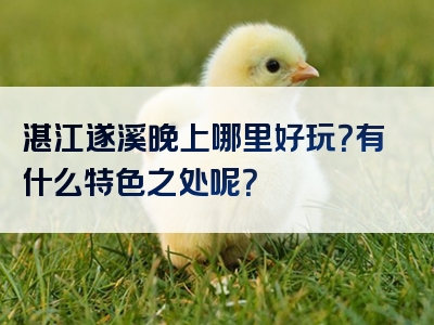 湛江遂溪晚上哪里好玩？有什么特色之处呢？