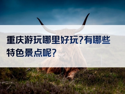 重庆游玩哪里好玩？有哪些特色景点呢？