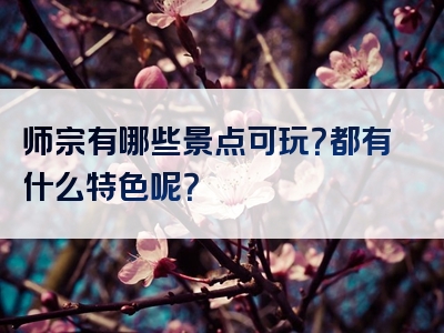 师宗有哪些景点可玩？都有什么特色呢？