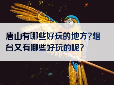 唐山有哪些好玩的地方？烟台又有哪些好玩的呢？