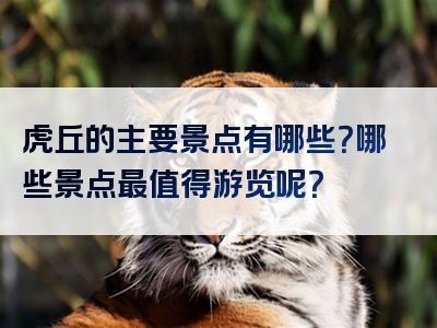 虎丘的主要景点有哪些？哪些景点最值得游览呢？