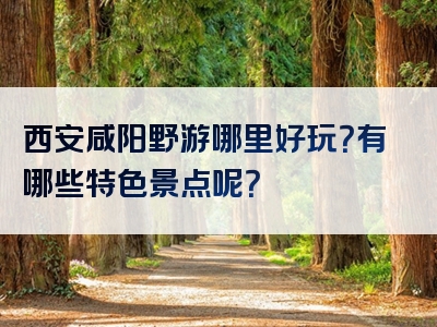 西安咸阳野游哪里好玩？有哪些特色景点呢？