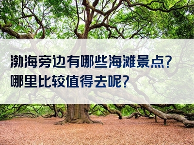 渤海旁边有哪些海滩景点？哪里比较值得去呢？