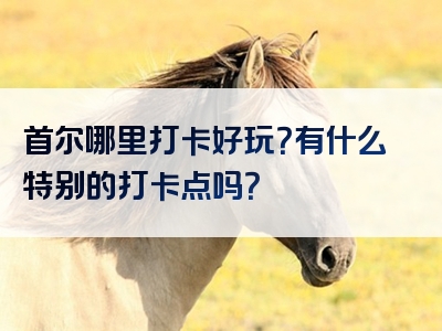 首尔哪里打卡好玩？有什么特别的打卡点吗？