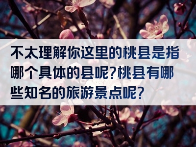 不太理解你这里的桃县是指哪个具体的县呢？桃县有哪些知名的旅游景点呢？