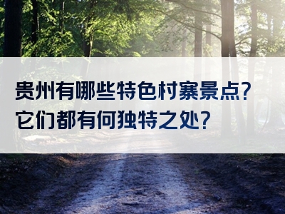 贵州有哪些特色村寨景点？它们都有何独特之处？