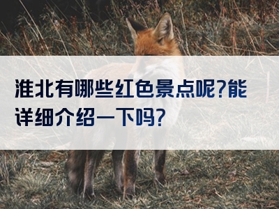 淮北有哪些红色景点呢？能详细介绍一下吗？