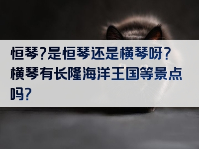 恒琴？是恒琴还是横琴呀？横琴有长隆海洋王国等景点吗？