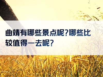曲靖有哪些景点呢？哪些比较值得一去呢？