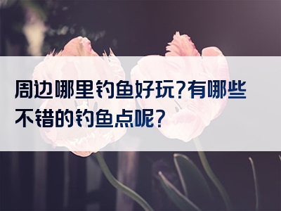 周边哪里钓鱼好玩？有哪些不错的钓鱼点呢？