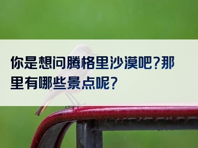你是想问腾格里沙漠吧？那里有哪些景点呢？