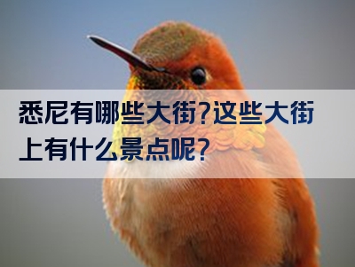 悉尼有哪些大街？这些大街上有什么景点呢？