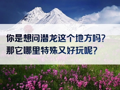 你是想问潜龙这个地方吗？那它哪里特殊又好玩呢？
