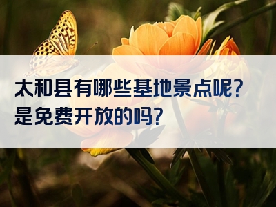 太和县有哪些基地景点呢？是免费开放的吗？