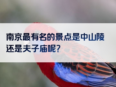 南京最有名的景点是中山陵还是夫子庙呢？