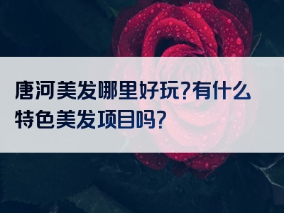 唐河美发哪里好玩？有什么特色美发项目吗？