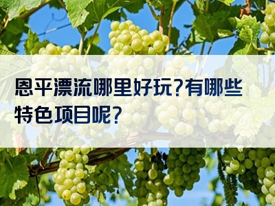 恩平漂流哪里好玩？有哪些特色项目呢？